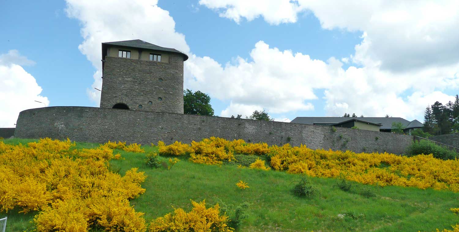 Burg Vogelsang